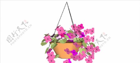 花盆盆栽植物植物室外模型