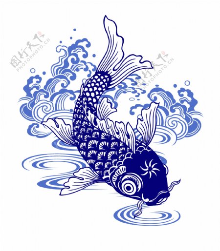中国传统锦鲤海水与鱼