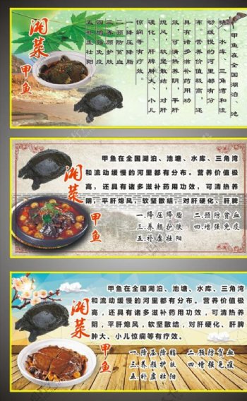 湘菜甲鱼广告图
