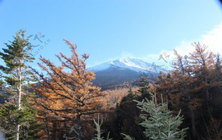 富士山