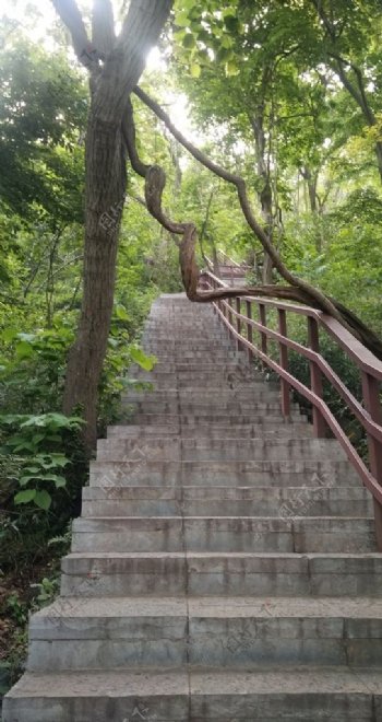 大蜀山台阶
