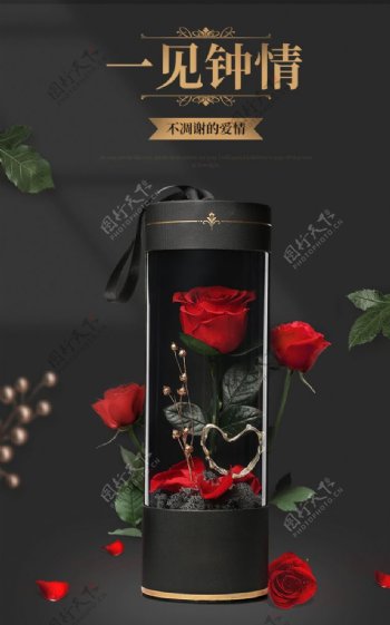 唯美浪漫玫瑰海报