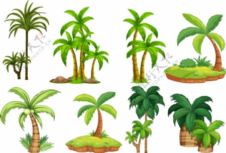 8款绿色椰子树设计矢量素材