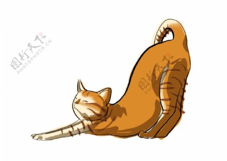 猫咪插画手绘小橘猫伸懒腰