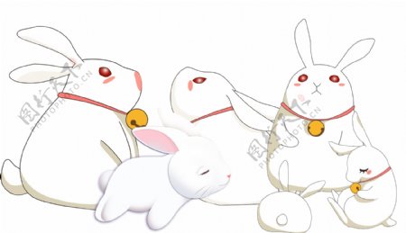 几只兔子