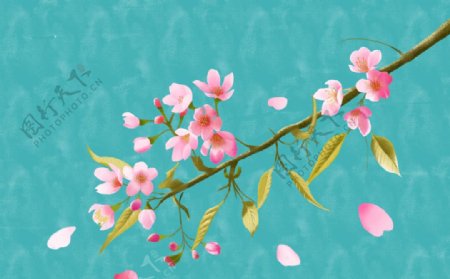 手绘樱花透明图层图片