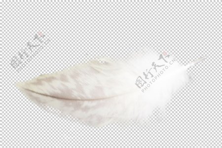 白色羽毛漂浮素材图片