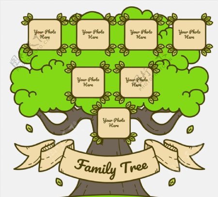 彩绘绿色家族树图片
