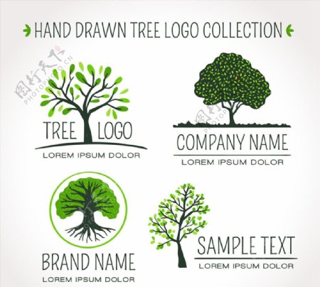 手绘绿色树木标志图片