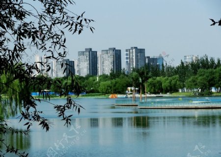 朝阳公园湖面风光图片