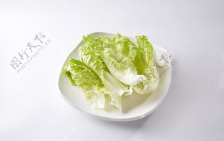 白菜娃娃菜蔬菜食材海报素材图片