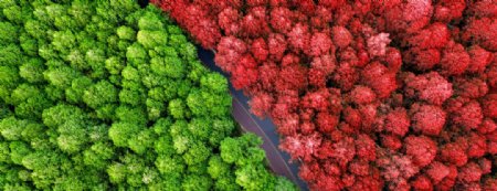 红与绿风景山林航拍图片