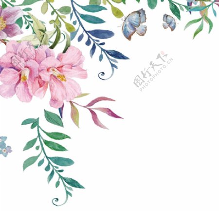 手绘水彩花朵植物叶子png素材图片