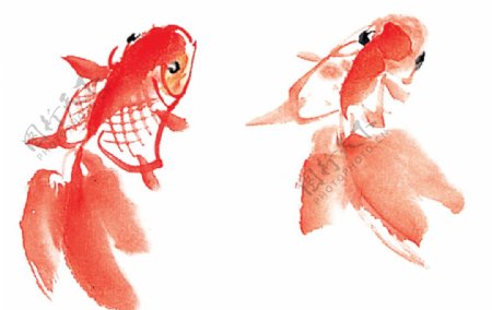 水墨红色金鱼png素材图片