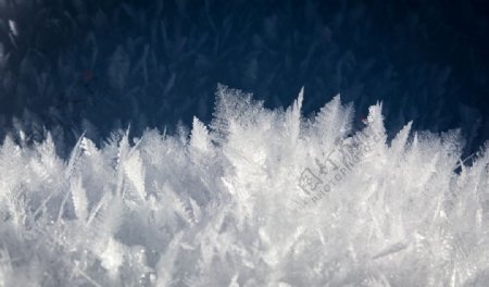 霜冻雪花图片