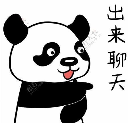 熊猫涛涛图片