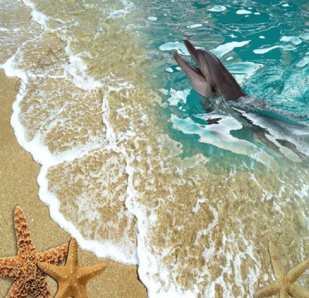 3D沙滩海豚高清图图片