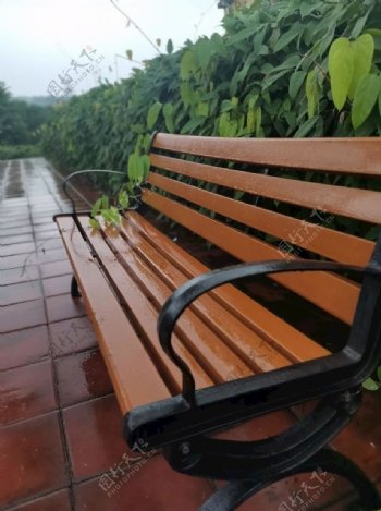雨后的长椅图片
