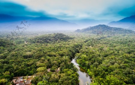 热带雨林风景图片