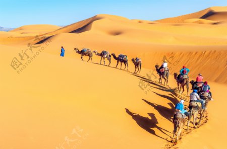 沙漠旅行的队伍图片