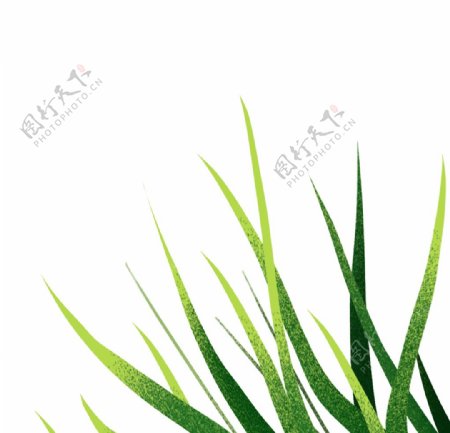 绿色植物草元素图片