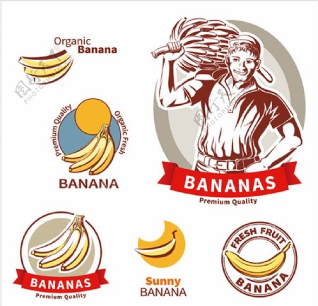 优质香蕉标签图片