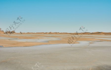 沙漠淡水湖图片