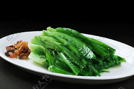 素菜豆鼓鲮鱼油麦菜图片