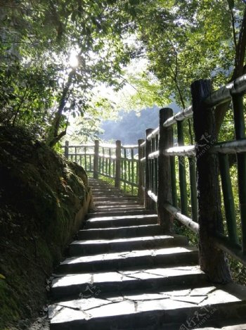 山路阶梯龙景峡谷图片