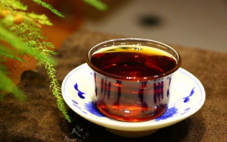 普洱茶茶艺图片