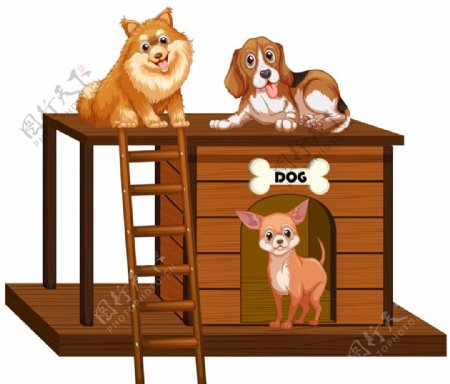 狗动物卡通图片