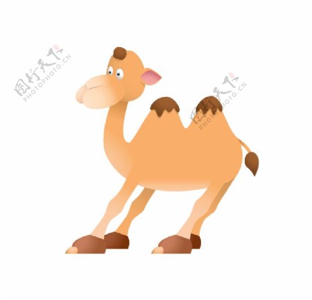 骆驼卡通形象图片