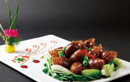 杭州酱悦肉螺图片