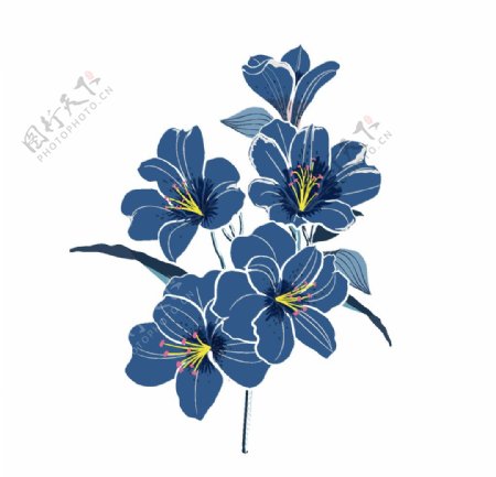 手绘蓝色花朵植物图片