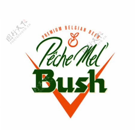 布什啤酒bush图片