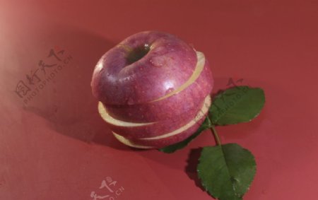 红色底板上的苹果拍摄素材图片
