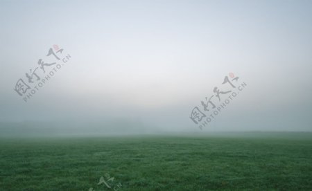 雾图片
