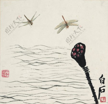齐白石国画莲蓬蜻蜓图图片