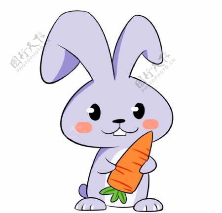 怀抱胡萝卜的兔子图片