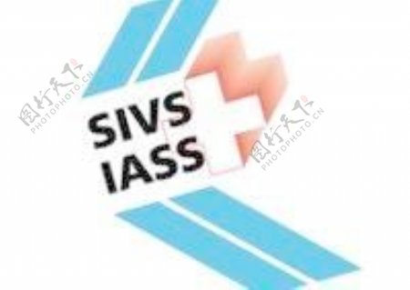 SIV国际会计准则