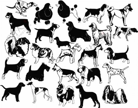 各种各样的黑色和白色的狗狗矢量素材