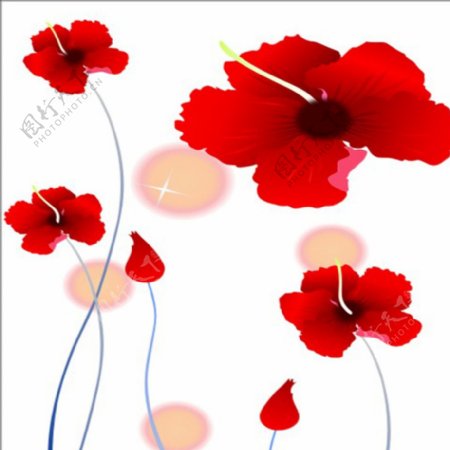 推拉门红花花朵图片