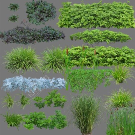时尚园林设计绿色植物