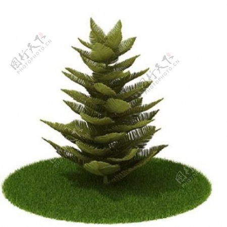 植物国外精品素材装饰素材免费下载植物3d模型39