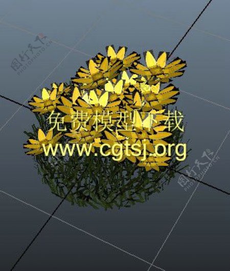 黄色花蕾游戏模型
