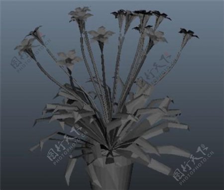 花盆花束游戏模型素材
