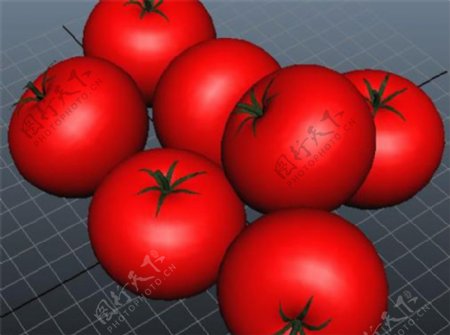 番茄西红柿游戏模型