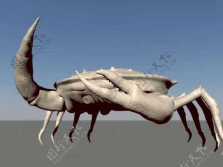 螃蟹模型