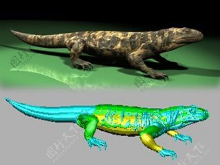 动物恐龙爬行类3d模型素材免费下载动物模型23