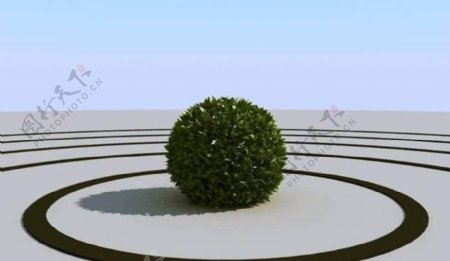 高精细球形的灌木丛模型bushball01